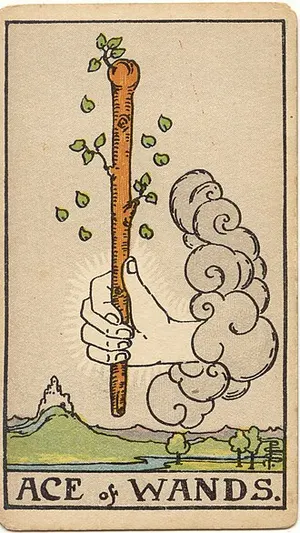 Ace of Wands tarot card from the 1909 Rider–Waite–Smith deck